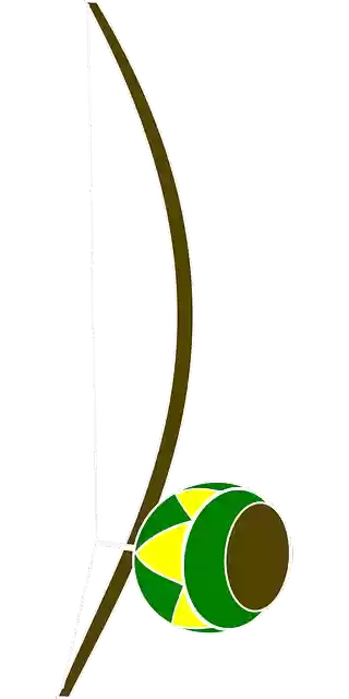 Free download Bow Fishing Equipment - Free vector graphic on Pixabay free illustration to be edited with GIMP free online image editor