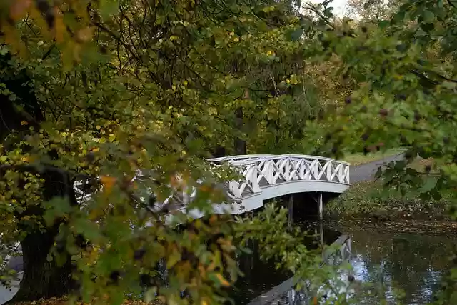 Free download bridge park autumn nature free picture to be edited with GIMP free online image editor