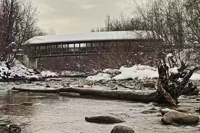 Muat turun percuma templat foto percuma Bridge Tree Nature untuk diedit dengan editor imej dalam talian GIMP