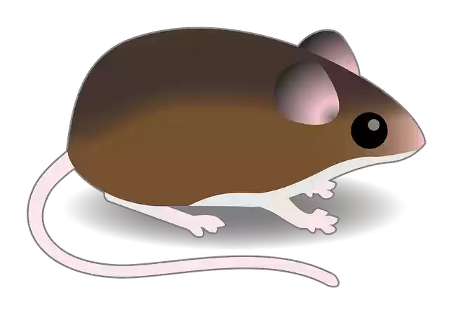 Free download Brown Mouse Connectedbio -  free illustration to be edited with GIMP free online image editor