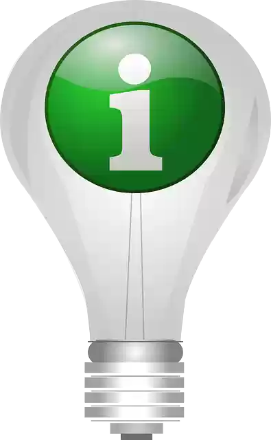 Free download Bulb Info Light - Free vector graphic on Pixabay free illustration to be edited with GIMP free online image editor