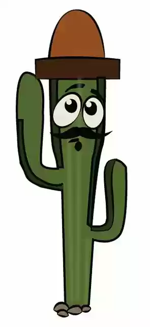 Free download Cactus Cartoon Plant -  free illustration to be edited with GIMP free online image editor