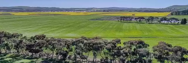 免费下载 Canola Spring Agriculture - 可使用 GIMP 在线图像编辑器编辑的免费照片或图片