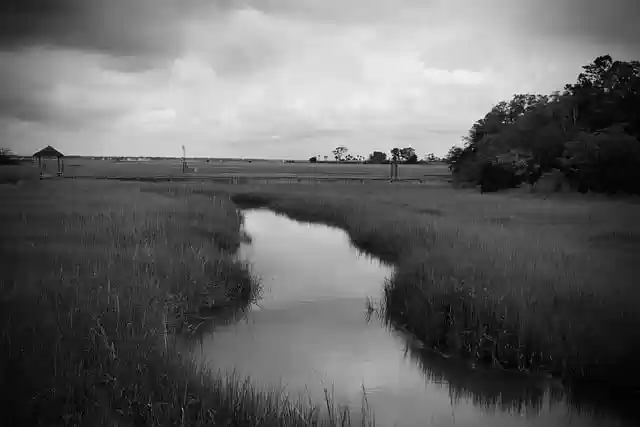 Free download charleston nature ocean wilderness free picture to be edited with GIMP free online image editor