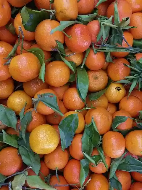 Free download Clementines Fruit Vitamins -  free photo or picture to be edited with GIMP online image editor