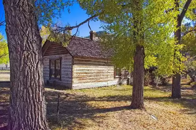 Free download Cottonwoods And Abandoned Home free photo template to be edited with GIMP online image editor