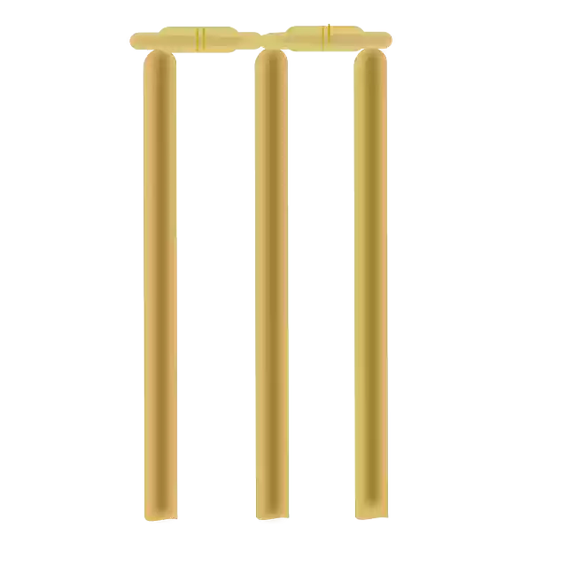 Free download Cricket Stump - Free vector graphic on Pixabay free illustration to be edited with GIMP free online image editor