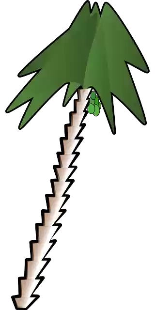 Free download Date Palm Tree - Free vector graphic on Pixabay free illustration to be edited with GIMP free online image editor