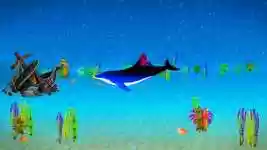 Free download Dolphin Aquarium Bottom -  free video to be edited with OpenShot online video editor