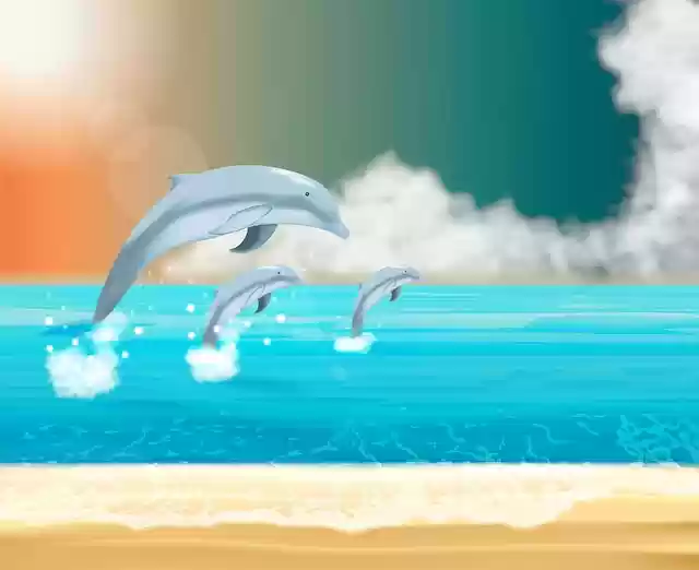 Free download Dolphins Ocean Sea free illustration to be edited with GIMP online image editor