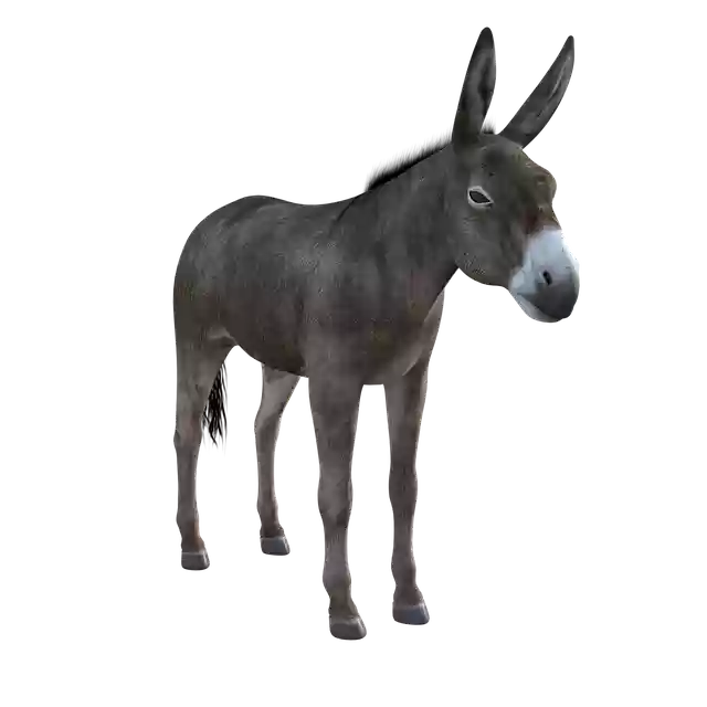 GIMP 온라인 이미지 편집기로 편집할 Donkey Mule Animal 무료 일러스트 무료 다운로드