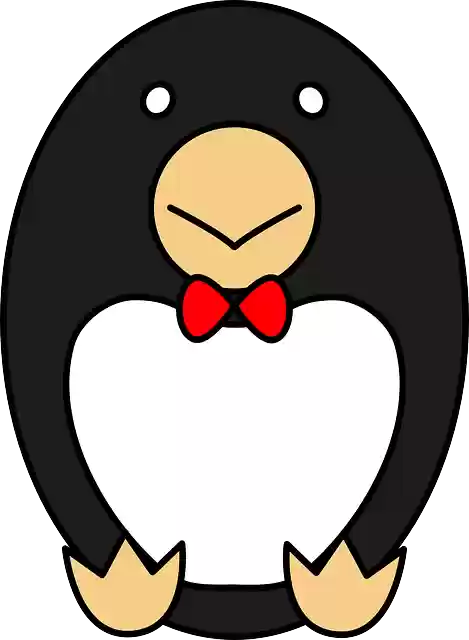 Free download Egg Penguin - Free vector graphic on Pixabay free illustration to be edited with GIMP free online image editor