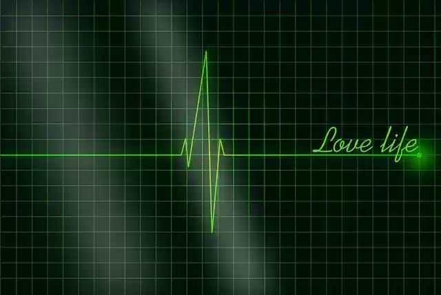 Free download Electrocardiogram The Rhythm Heart -  free illustration to be edited with GIMP free online image editor