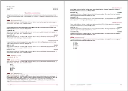 Free download Elegant CV with styles DOC, XLS or PPT template free to be edited with LibreOffice online or OpenOffice Desktop online