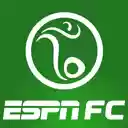 ESPN FC  screen for extension Chrome web store in OffiDocs Chromium