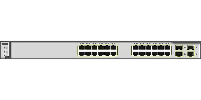 Free download Ethernet Network Switch - Free vector graphic on Pixabay free illustration to be edited with GIMP free online image editor