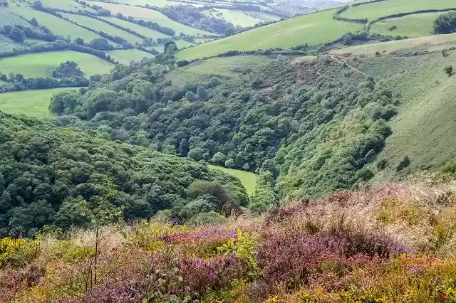 免费下载 Exmoor Landscape England - 可使用 GIMP 在线图像编辑器编辑的免费照片或图片