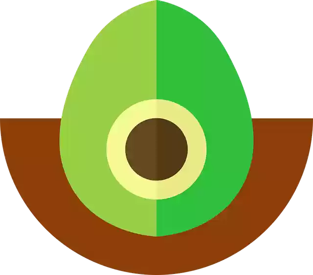 Free download Eye Boat Fruit A - Free vector graphic on Pixabay free illustration to be edited with GIMP free online image editor