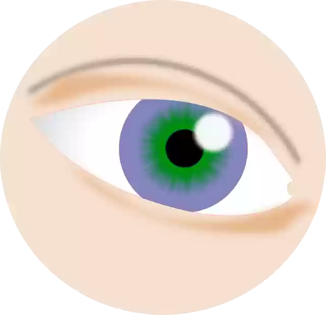 Free download Eye Visual - Free vector graphic on Pixabay free illustration to be edited with GIMP free online image editor