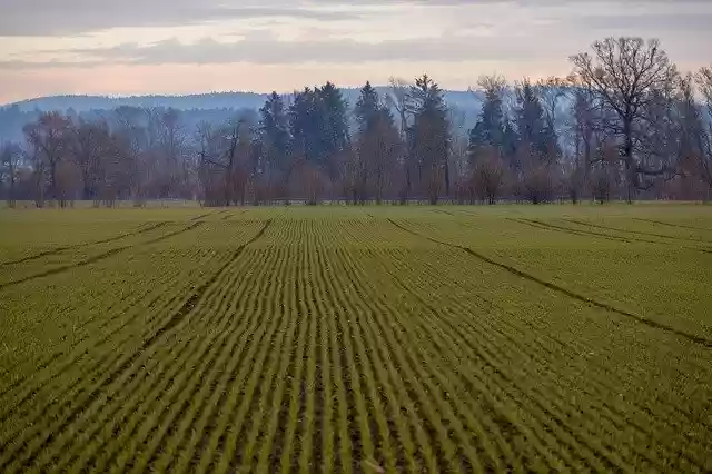 Free download Field Lines Nature free photo template to be edited with GIMP online image editor