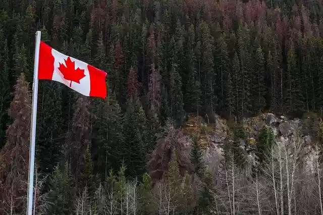 Kostenloser Download Flag Forests Canada - kostenloses Foto oder Bild zur Bearbeitung mit GIMP Online-Bildbearbeitung