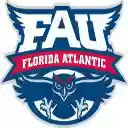 Florida Atlantic University Owl Theme  screen for extension Chrome web store in OffiDocs Chromium