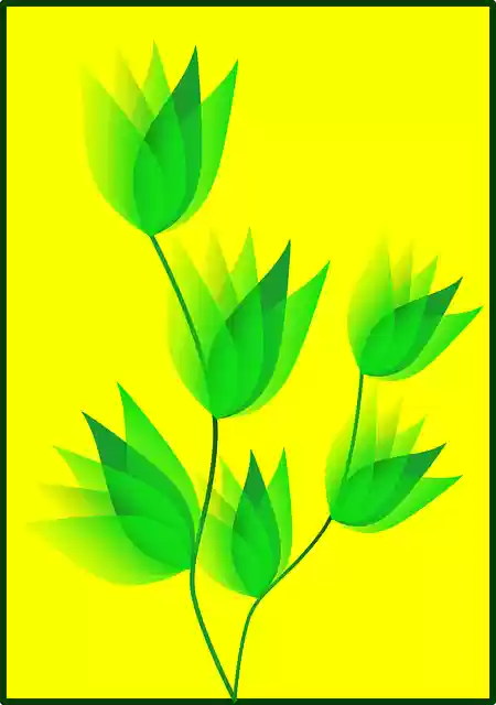 Free download Flower Lotus - Free vector graphic on Pixabay free illustration to be edited with GIMP free online image editor