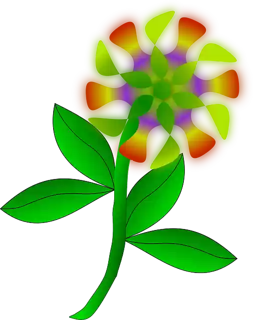 Free download Flower Plant Petals - Free vector graphic on Pixabay free illustration to be edited with GIMP free online image editor