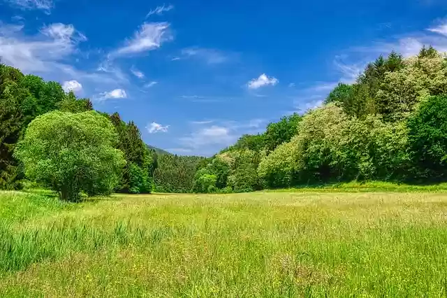 Free download front weidenthal has forests clouds free picture to be edited with GIMP free online image editor