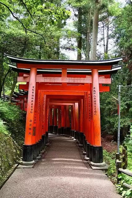 Free download Fushimi Inari-Taisha Shrine Kyoto -  free photo or picture to be edited with GIMP online image editor