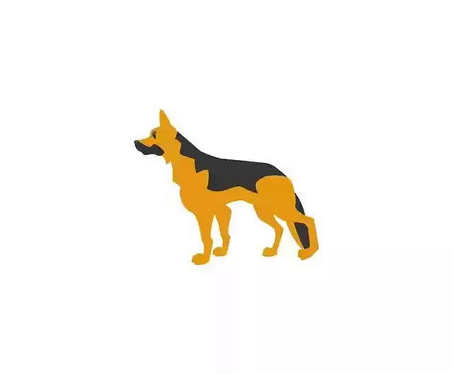 Free download German Shepherd Dog Vector -  free illustration to be edited with GIMP free online image editor