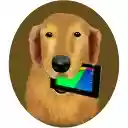 Golden Retriever  screen for extension Chrome web store in OffiDocs Chromium