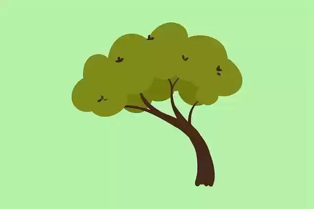 Free download Gree Tree Nature -  free illustration to be edited with GIMP free online image editor