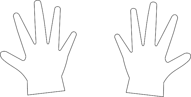 Free download Hands Chirality Symmetry - Free vector graphic on Pixabay free illustration to be edited with GIMP free online image editor