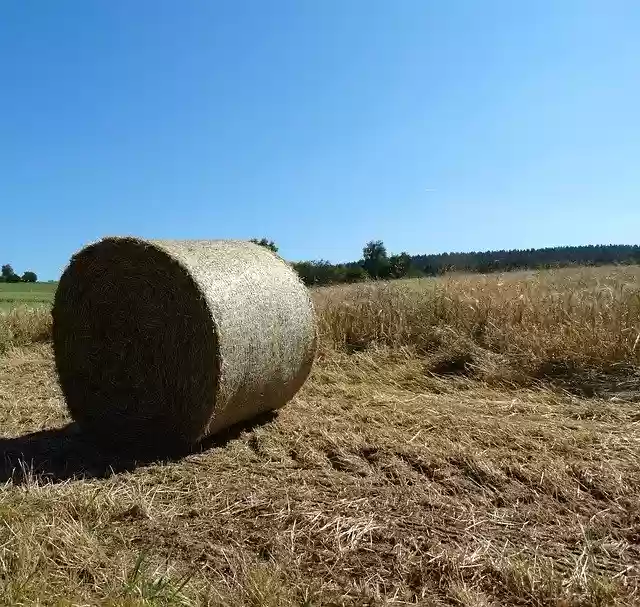 無料ダウンロードHayBalesBaleAgricultureStraw-GIMPオンライン画像エディタで編集できる無料の写真または画像