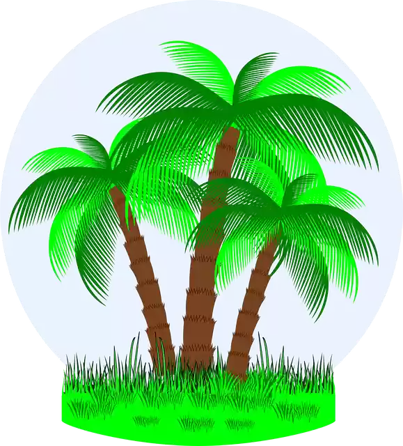 ດາວໂຫຼດຟຣີ Holidays Summer Tropical PalmFree graphic vector on Pixabay free illustration to be edited with GIMP online image editor