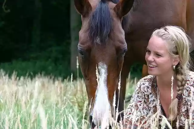 Free download Horses Girl Paardenmeisje -  free photo or picture to be edited with GIMP online image editor