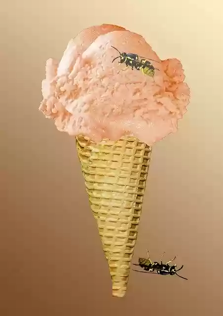 Free download Ice Cream Cone Waffle -  free illustration to be edited with GIMP free online image editor