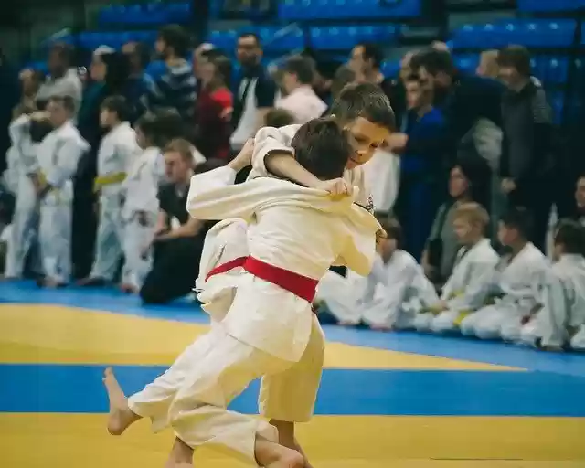 Free download Judo Athlete Sport -  free photo or picture to be edited with GIMP online image editor