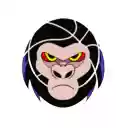 KongTracker  screen for extension Chrome web store in OffiDocs Chromium KongTracker  screen for extension Chrome web store in OffiDocs Chromium