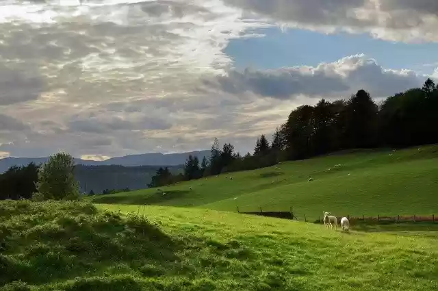 Free download Lake District Rural Scene -  free photo or picture to be edited with GIMP online image editor