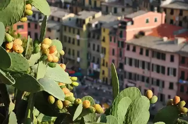 Free download Liguria Vernazza Travel free photo template to be edited with GIMP online image editor