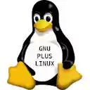 Linux To GNU Plus Linux  screen for extension Chrome web store in OffiDocs Chromium