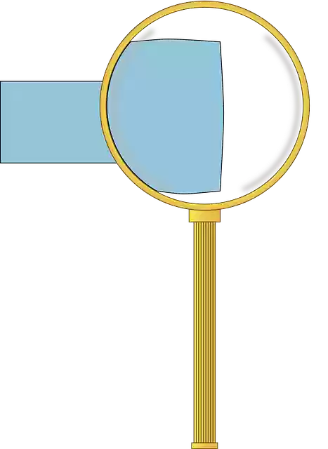 Free download Magnifying Glass Lens - Free vector graphic on Pixabay free illustration to be edited with GIMP free online image editor