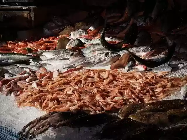 Bezpłatne pobieranie Market Fish Catania - bezpłatne, bezpłatne zdjęcie lub obraz do edycji za pomocą internetowego edytora obrazów GIMP