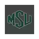 Michigan State Green  screen for extension Chrome web store in OffiDocs Chromium