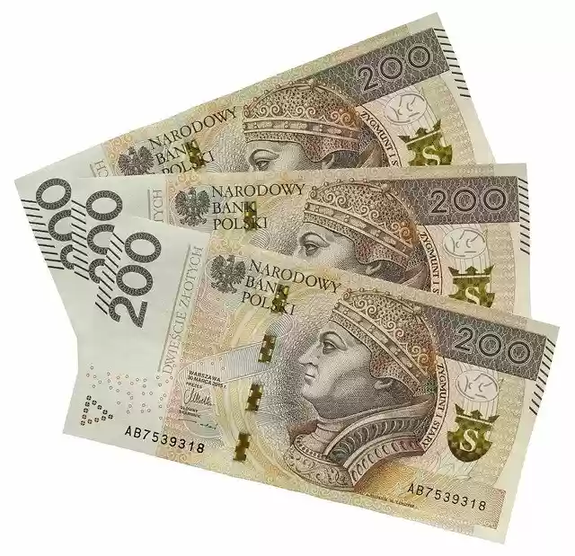 Free download Money The Greenback Euro Banknotes -  free photo or picture to be edited with GIMP online image editor