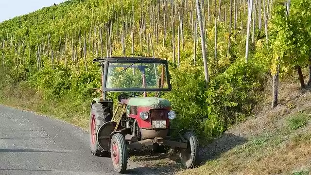 ดาวน์โหลด Mosel Wine Harvest Tractor ฟรี - ภาพถ่ายหรือภาพฟรีที่จะแก้ไขด้วยโปรแกรมแก้ไขรูปภาพออนไลน์ GIMP