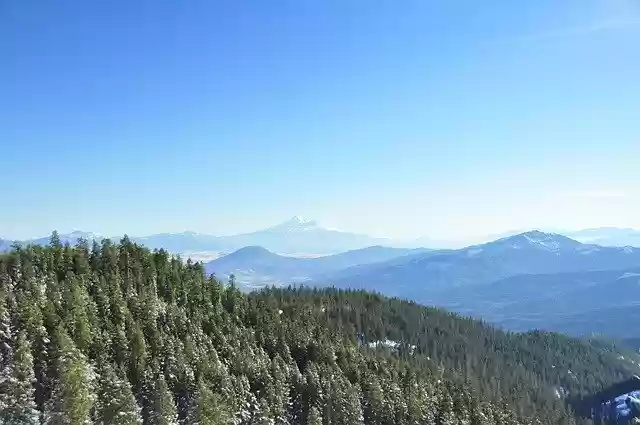 Free download Mountain Shasta Forest free photo template to be edited with GIMP online image editor