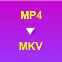 MP4 to MKV Converter  screen for extension Chrome web store in OffiDocs Chromium